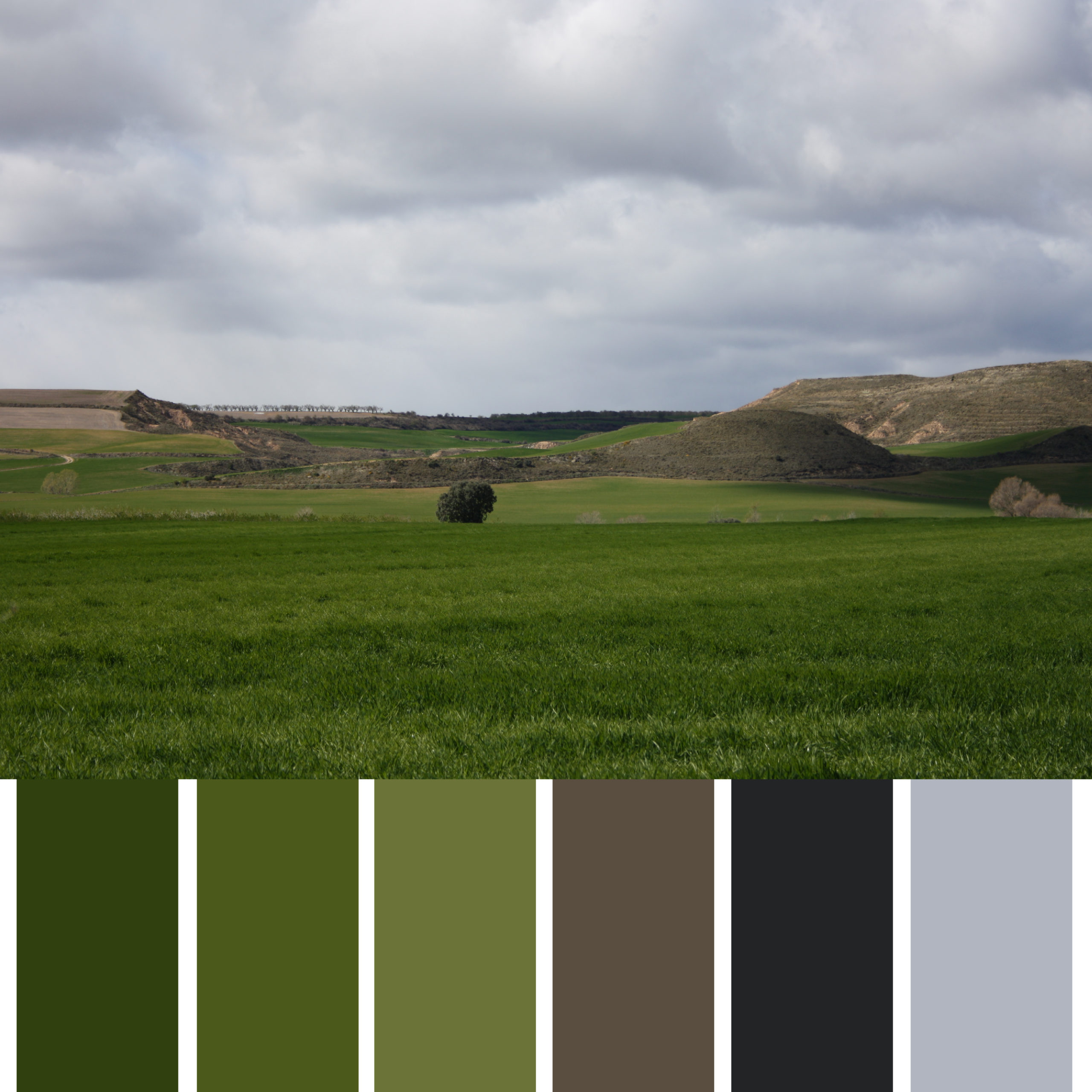 Los Colores de Aragón paisaje