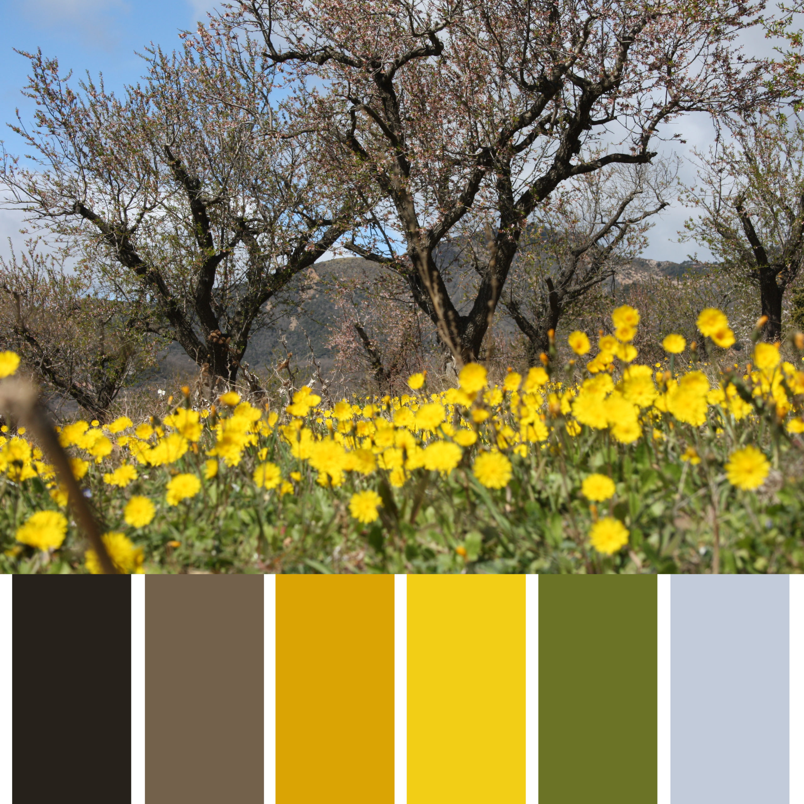Los Colores de Aragón Paisaje