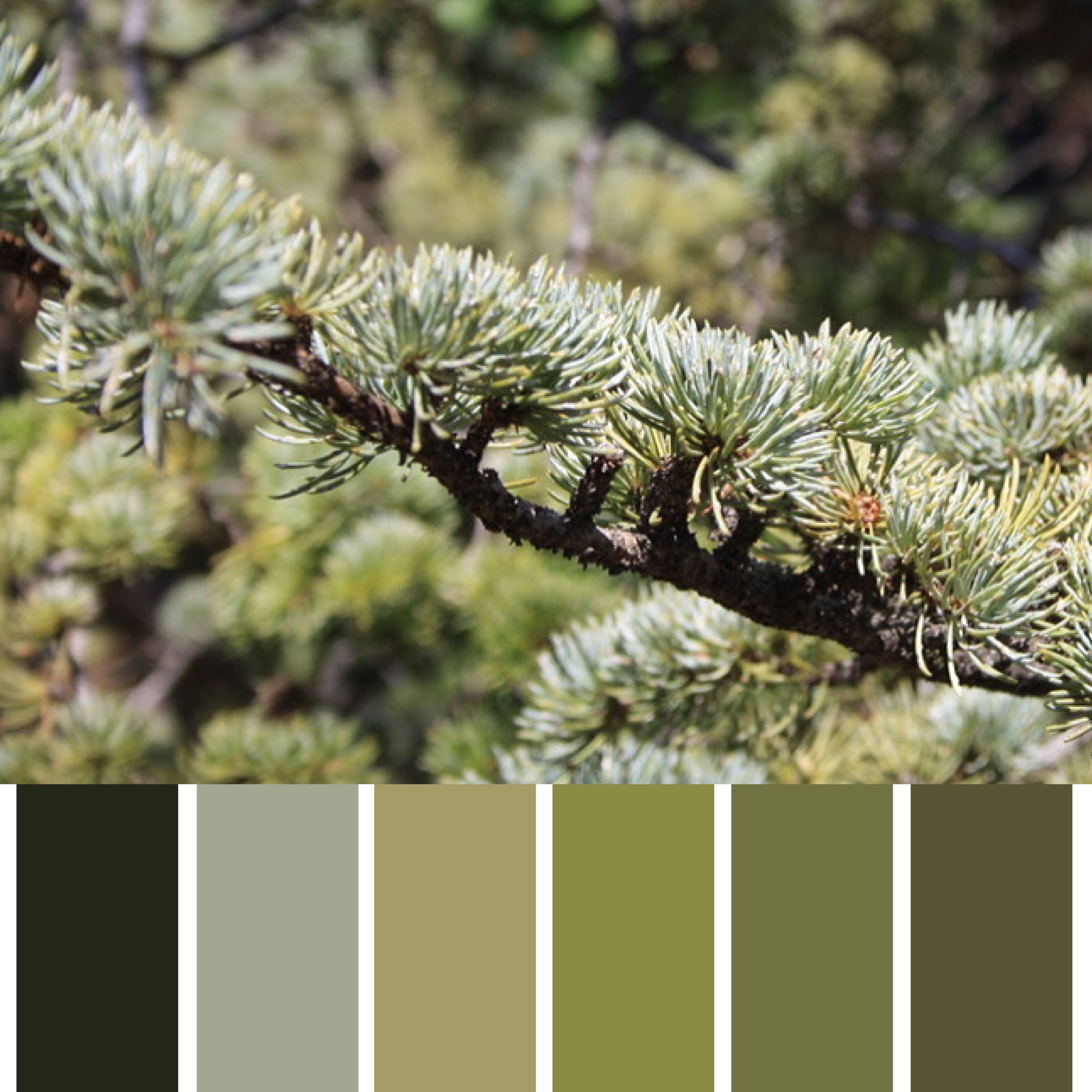Los Colores de Aragón Naturaleza