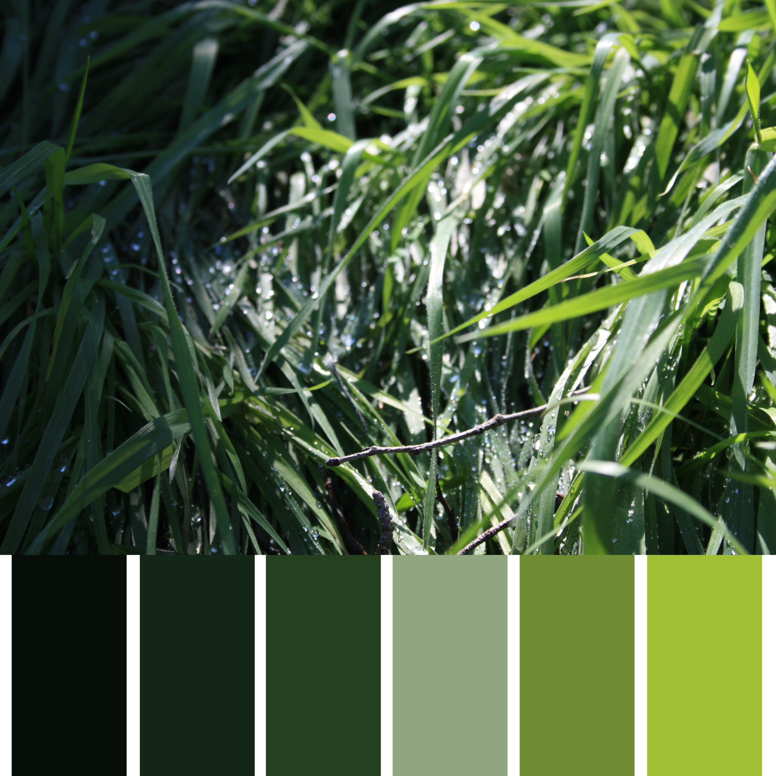 Los Colores de Aragón Naturaleza