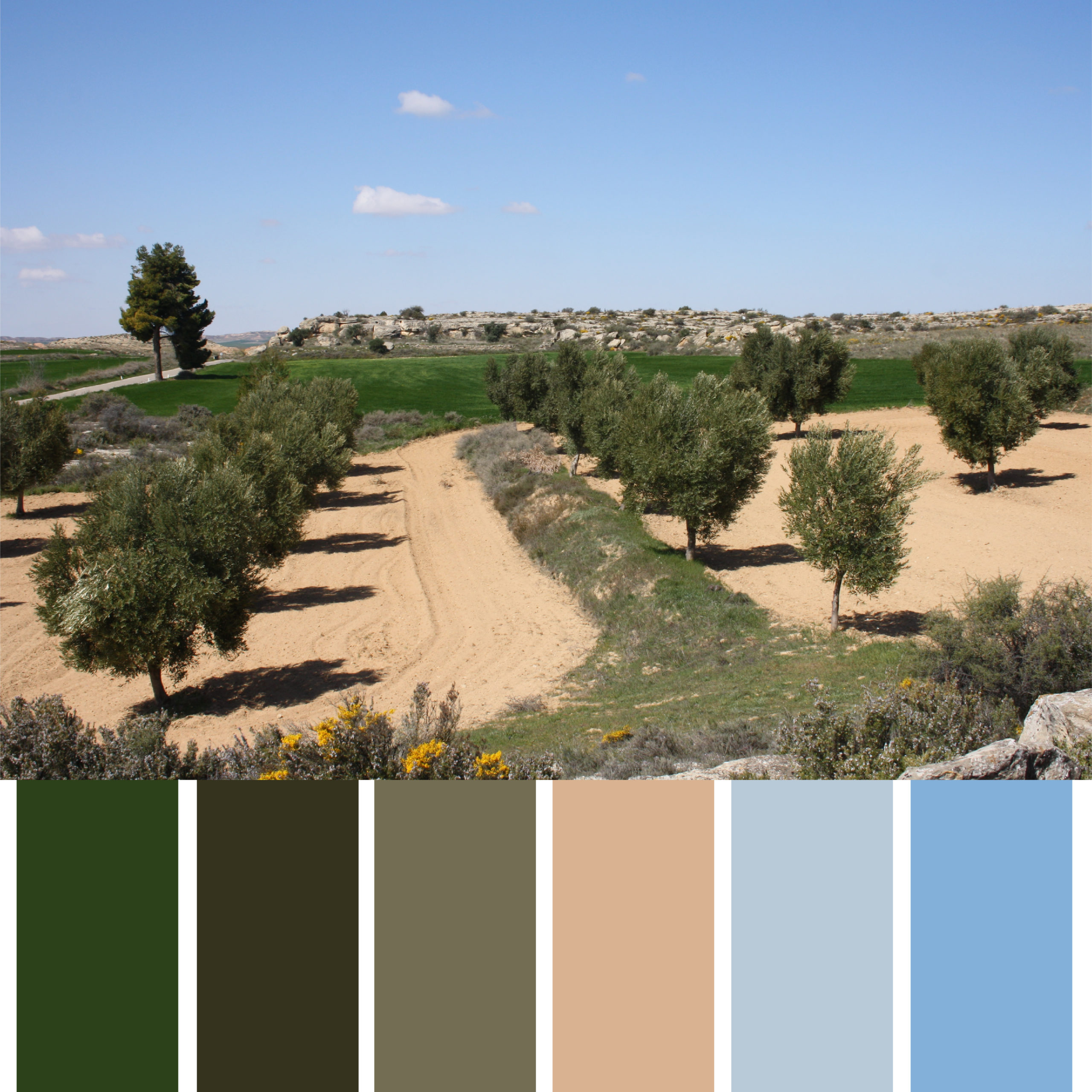 Los Colores de Aragon Paisaje